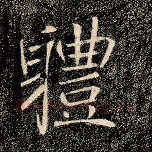 体