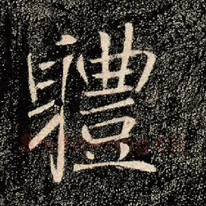 体