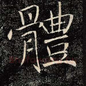 体