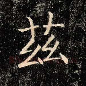 兹