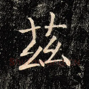 兹