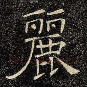 丽