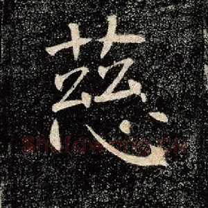 慈
