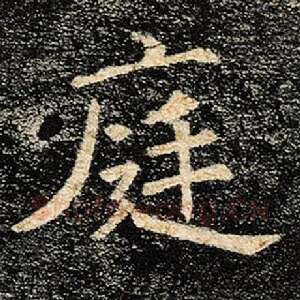庭