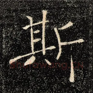 斯