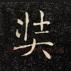 奘