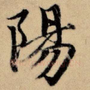 阳