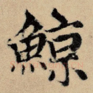 鲸