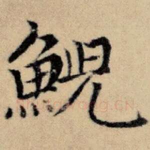 鲵