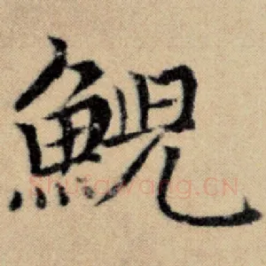 鲵