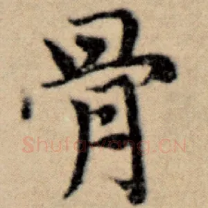 骨