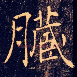 臟