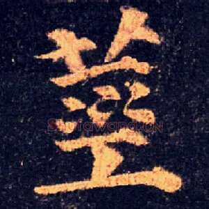 莖