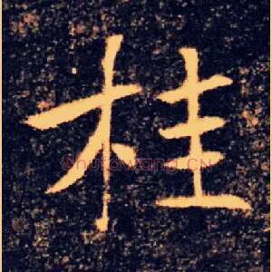 桂