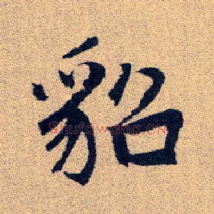 貂