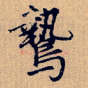 鷙
