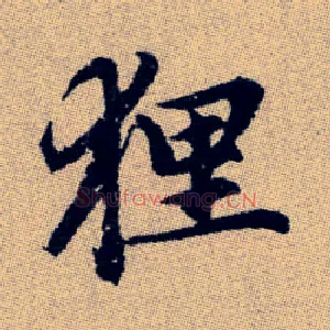 狸