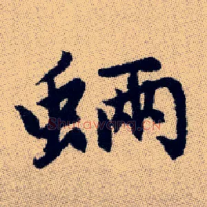 蜽
