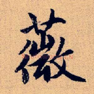薇