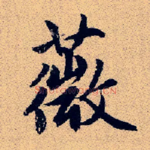薇