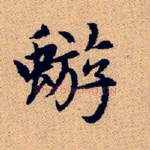 蝣