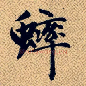 蟀