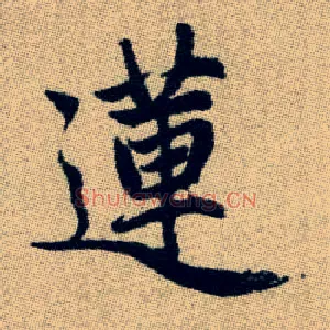 蓮
