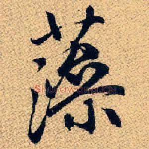 藻