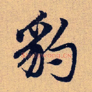 豹