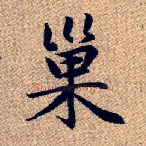 巢