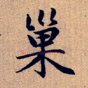巢