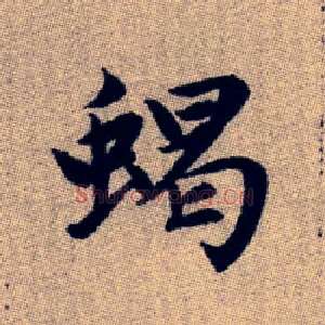 蝎