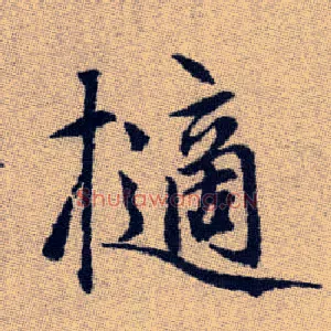 擿