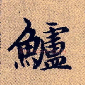 鱸