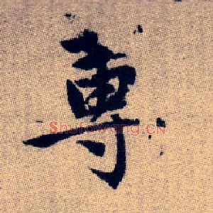 蓴