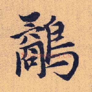 鷸