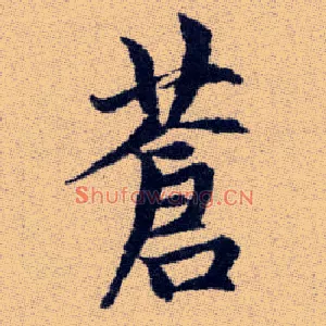 蒼