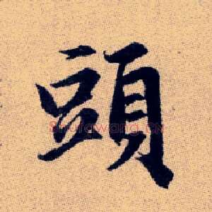 頭