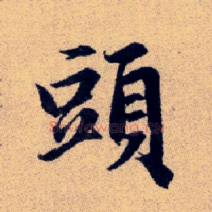 頭