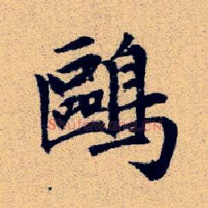 鷗