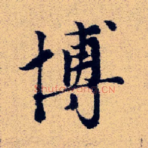 博